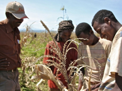 KỲ TÍCH ETHIOPIA: KHÔNG DẦU MỎ, HẠN HÁN QUANH NĂM... TỪ ĐỐNG TRO TÀN TRỞ THÀNH NỀN KINH TẾ PHÁT TRIỂN NHANH NHẤT CHÂU LỤC